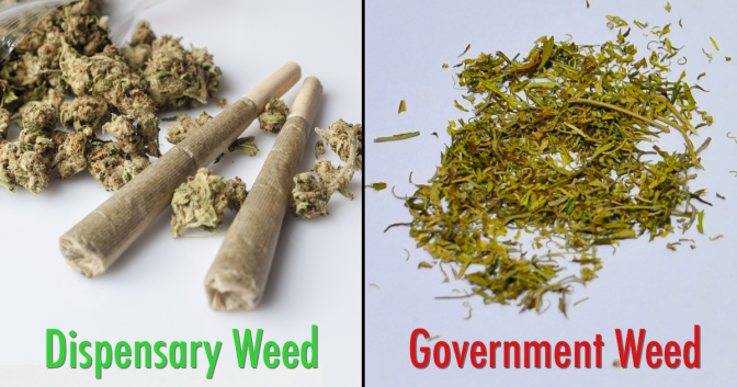 government weed dispensary cannabis marijuana gov freedom leaf news