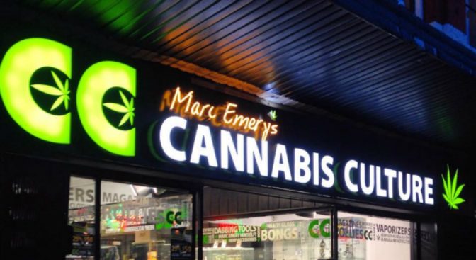 cannabis culture canada marijuana legalize marc emery jodi weed ganja canadian news
