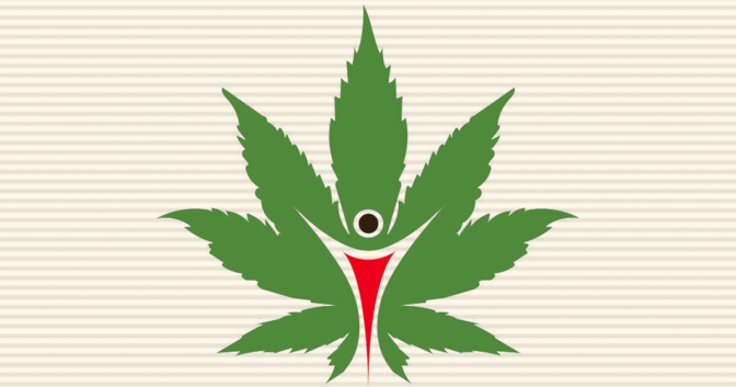 holistic cannabis health freedom leaf marijuana news cannabis activism