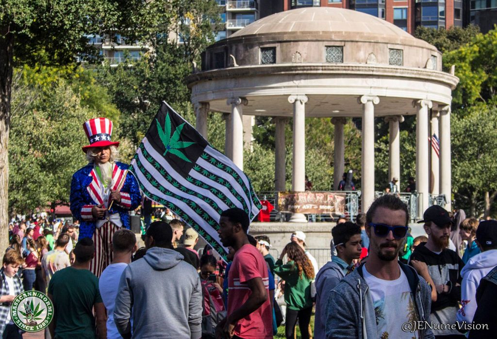 Boston Freedom Rally Schedule Three Days of Weed & Music Freedom Leaf