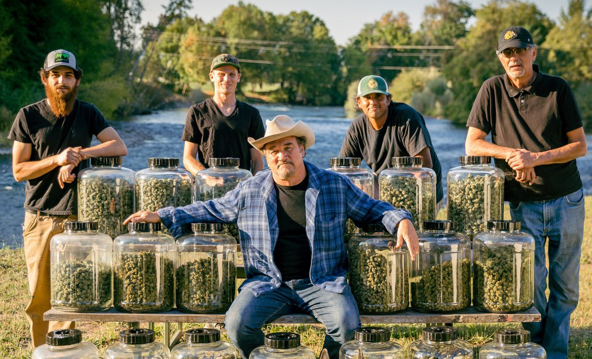 Документальные фильмы о выращивание конопли семена марихуаны купить питер